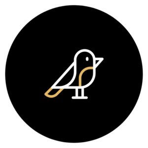early bird ticket